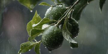 (Φωτ.: EUROKINISSI / Θανάσης Καλλιάρας)