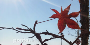 (Φωτ.: Χριστίνα Κωνσταντάκη)