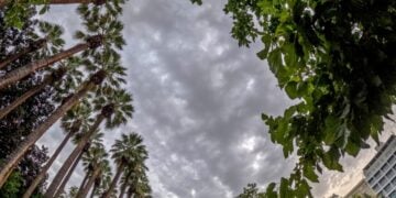 (Φωτ. αρχείου: EUROKINISSI/Γιώργος Κονταρίνης)
