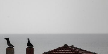 (Φωτ. αρχείου: EUROKINISSI/Θανάσης Καλλιάρας)