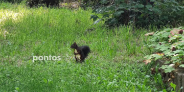 (Φωτ.: Χριστίνα Κωνσταντάκη)