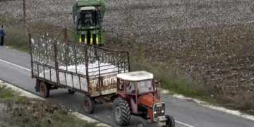 Τρακτέρ με βαμβάκι στο θεσσαλικό κάμπο (φωτ.: EUROKINISSI/Θανάσης Καλλιάρας)