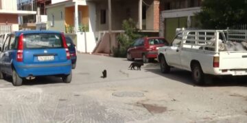 (Πηγή: YouTube/ΕΡΤ ΑΕ)