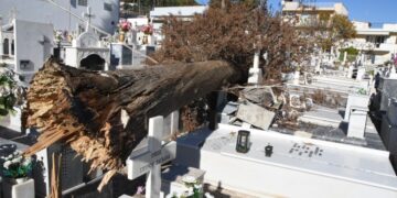 Δέντρο καταπλάκωσε τάφους στο κοιμητήριο του ιερού ναού Παναγίας στο Άργος (φωτ.: EUROKINISSI/Βασίλης Παπαδόπουλος)