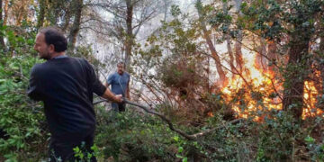 Εθελοντές στη μάχη για την κατάσβεση της πυρκαγιάς που ξέσπασε στο Νότιο Πήλιο (φωτ.: magnesianews.gr)