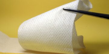 (Φωτ. αρχείου: pixabay/HeungSoon)