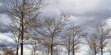 (Φωτ.: Χριστίνα Κωνσταντάκη)