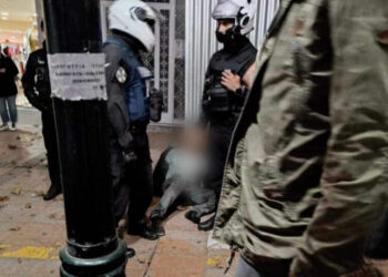 Στιγμιότυπο από βίντεο (φωτ.: ertnews.gr)