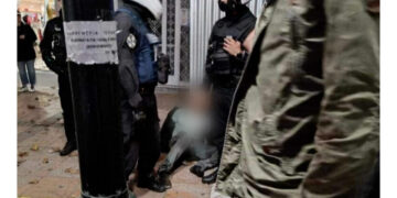 Στιγμιότυπο από βίντεο (φωτ.: ertnews.gr)