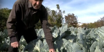 (Στιγμιότυπο από την εκπομπή της ΕΡΤ3)