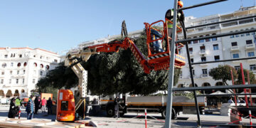 Φορτηγό μεταφέρει το χριστουγεννιάτικο δέντρο στην πλατεία Αριστοτέλους (φωτ.: ΑΠΕ-ΜΠΕ / Αχιλλέας Χήρας)