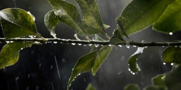 (Φωτ.: EUROKINISSI/Θανάσης Καλλιάρας)