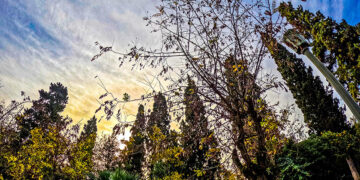 (Φωτ.: EUROKINISSI / Γιώργος Κονταρίνης)