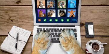 (Φωτ. αρχείου: pixabay / Brian_Cragun)