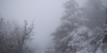 Λευκό τοπίο στο βουνό του Χορτιάτη (φωτ.: ΑΠΕ-ΜΠΕ / Δημήτρης Τοσίδης)