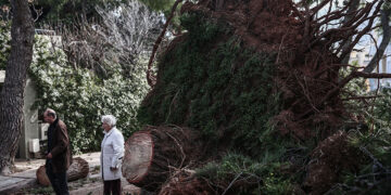 Πτώσεις δέντρων και ζημιές στη Φιλοθέη από το μπουρίνι που χτύπησε την Αττική τα ξημερώματα (φωτ.: EUROKINISSI / Κώστας Τζούμας)
