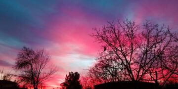 (Φωτ.: EUROKINISSI/Θανάσης Καλλιάρας)