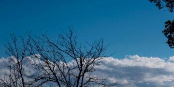 (Φωτ.: EUROKINISSI/Γιώργος Κονταρίνης)