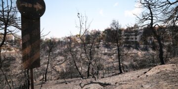 Καμένη έκταση στο Μάτι (φωτ. EUROKINISSI/Βασίλης Ρεμπάπης)