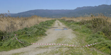 Το σημείο όπου βρέθηκε η σορός του Μπάμπη Κούτσικου, μια βαλτώδης περιοχή ανατολικά της λιμνοθάλασσας του Μεσολογγίου (φωτ.: ΑΠΕ-ΜΠΕ / Νίκη Μπερερή)