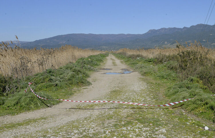 Το σημείο όπου βρέθηκε η σορός του Μπάμπη Κούτσικου, μια βαλτώδης περιοχή ανατολικά της λιμνοθάλασσας του Μεσολογγίου (φωτ.: ΑΠΕ-ΜΠΕ / Νίκη Μπερερή)