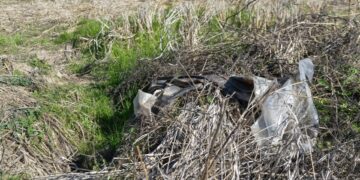 Ολοκληρώθηκαν οι έρευνες στο σημείο όπου βρέθηκε η σορός του 31χρονου και πλέον έχουν επεκταθεί και σε άλλες περιοχές (φωτ.: EUROKINISSI)