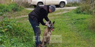 Ο ειδικά εκπαιδευμένος σκύλος αναζητά τον Μπάμπη Κούτσικο (φωτ.: ertnews.gr/Ομάδα Διαχείρισης Κρίσεων)