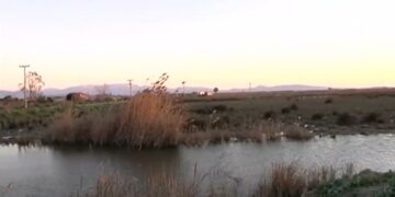 Ο βάλτος στον οποίο βρέθηκε η σορός του άτυχου 31χρονου (φωτ.: glomex)