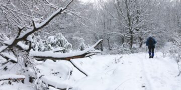 Άσπρη ημέρα είδαν οι κάτοικοι του Χορτιάτη Θεσσαλονίκης (φωτ.: ΜΟΤΙΟΝΤΕΑΜ//Σωτήρης Μπαρμπαρούσης)