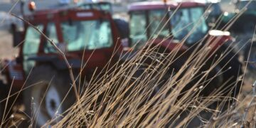 (Φωτ. αρχείου: ΑΠΕ-ΜΠΕ/Δημήτρης Στράβου)