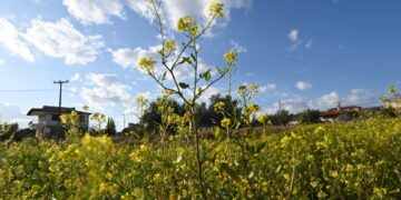 (Φωτ.: Βασίλης Παπαδόπουλος/EUROKINISI)