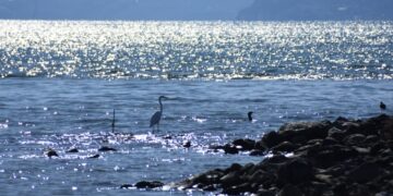 (Φωτ.: EUROKINISSI/Βασίλης Παπαδόπουλος)