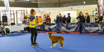 Στιγμιότυπο από παλιότερο φεστιβάλ στους χώρους της ΔΕΘ (φωτ.: facebook/Discover Dogs Festival)