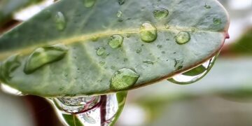 (Φωτ.: ΑΠΕ-ΜΠΕ/Ευάγγελος Μπουγιώτης)