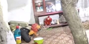 Σημείο μέσα στο παράπηγμα της οικογένειας με φωτογραφίες και προσωπικά είδη (φωτ.: glomex)