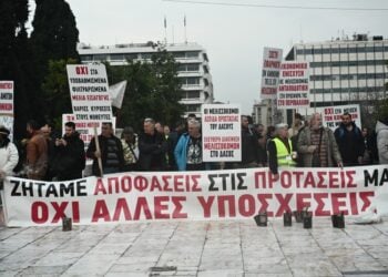 Στιγμιότυπο από τη διαμαρτυρία των μελισσοκόμων στην πλατεία Συντάγματος (φωτ.: EUROKINISSI/Κώστας Τζούμας)