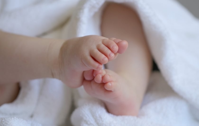 (Φωτ. αρχείου: Pixabay.com/Marjonhorn)