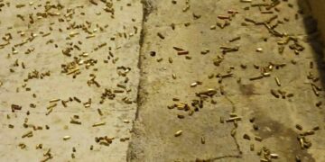 Εκατοντάδες κάλυκες κείτονται στο έδαφος έξω από το κέντρο όπου δόθηκε η δεξίωση της βάπτισης (φωτ.: cretalive.gr)