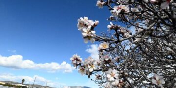 (Φωτ.: Βασίλης Παπαδόπουλος/EUROKINISI)