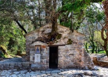 Τα πλατάνια φαίνεται να έχουν φυτρώσει μέσα στους τοίχους του μικρού πέτρινου ναού (φωτ.: notospress.gr)
