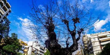 (Φωτ.: EUROKINISSI / Γιώργος Κονταρίνης)