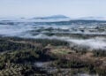 Ομίχλη σε περιοχή της νότιας Εύβοιας (φωτ.: EUROKINISSI / Αντώνης Λάμπρου)