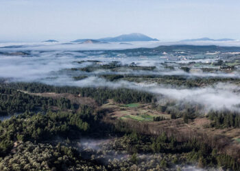 Ομίχλη σε περιοχή της νότιας Εύβοιας (φωτ.: EUROKINISSI / Αντώνης Λάμπρου)