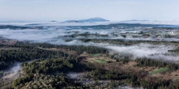 Ομίχλη σε περιοχή της νότιας Εύβοιας (φωτ.: EUROKINISSI / Αντώνης Λάμπρου)