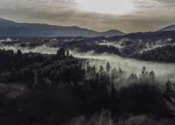 Ομίχλη στη νότια Εύβοια (φωτ.: EUROKINISSI/Αντώνης Λάμπρου)
