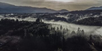 Ομίχλη στη νότια Εύβοια (φωτ.: EUROKINISSI/Αντώνης Λάμπρου)