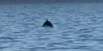 (Φωτ.: ΑΠΕ-ΜΠΕ/ Αλ. Χατζηγεωργίου)