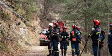 Πυροσβέστες επιχειρούν στο δάσος της Πιερίας (φωτ.: olympiobima.gr)