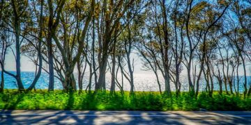 (Φωτ.: EUROKINISSI / Γιώργος Κονταρίνης)