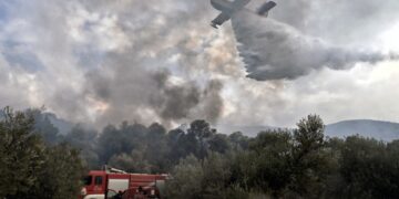 (Φωτ. αρχείου: EUROKINISSI/Βασίλης Παπαδόπουλος)